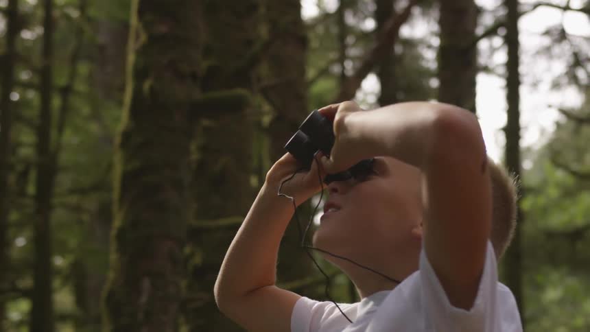 Boy In Forest
