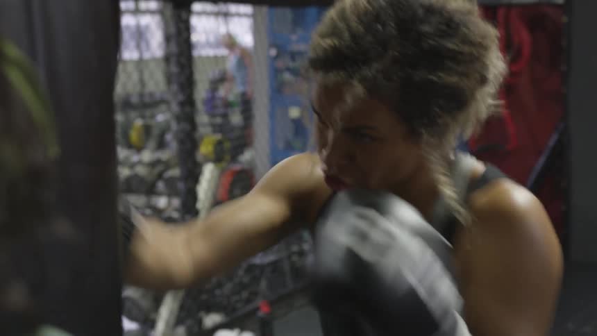 Boxer Training In Gym