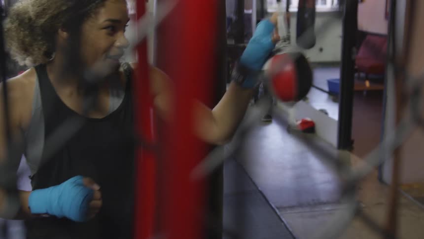 Boxer Training In Gym