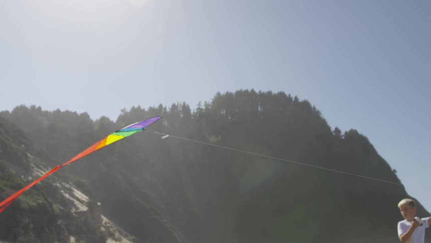 Boy Flying A Kite On The Beach