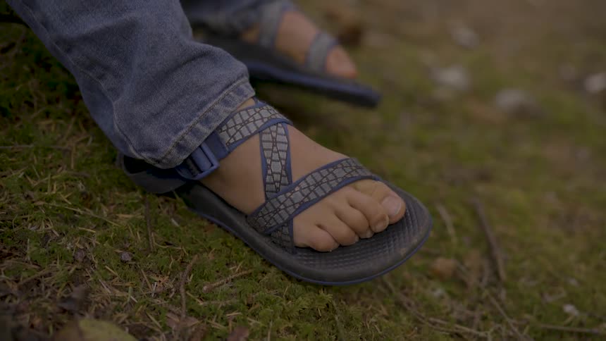 Boy In Forest