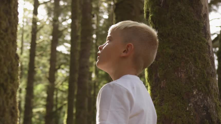 Boy In Forest