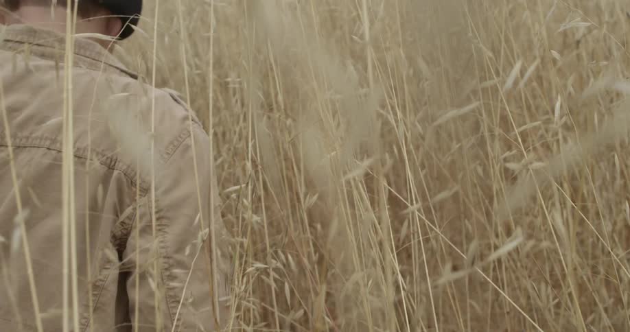 Man walking through tall grass