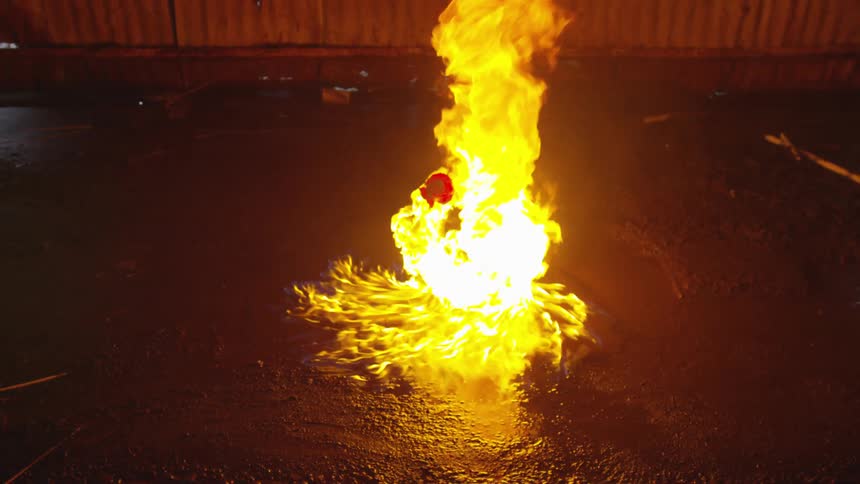 A fire swirls engulfing a red flower