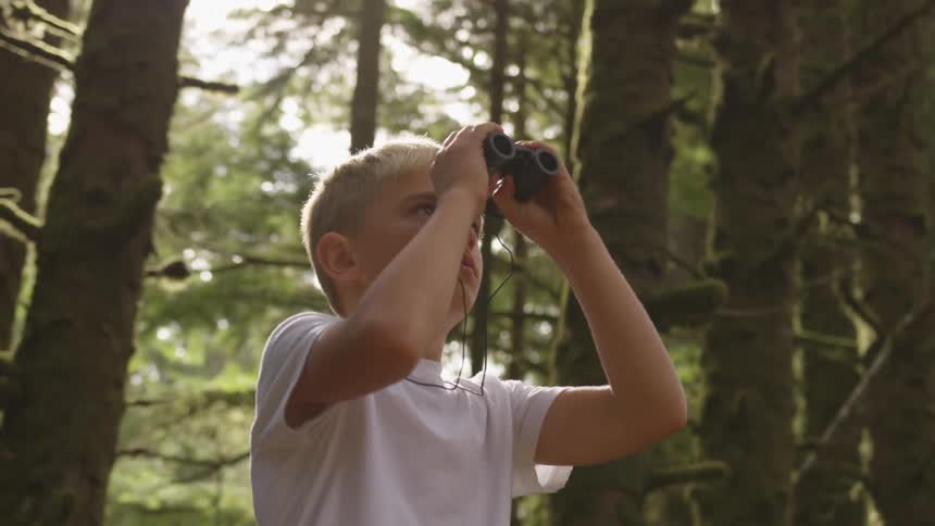 Boy In Forest