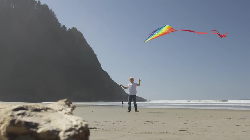 Boy Flying A Kite On The Beach