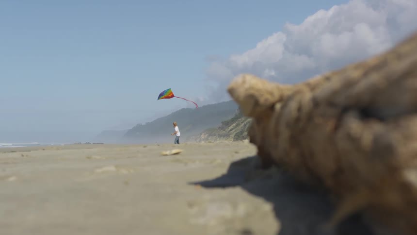 Boy Flying A Kite On The Beach