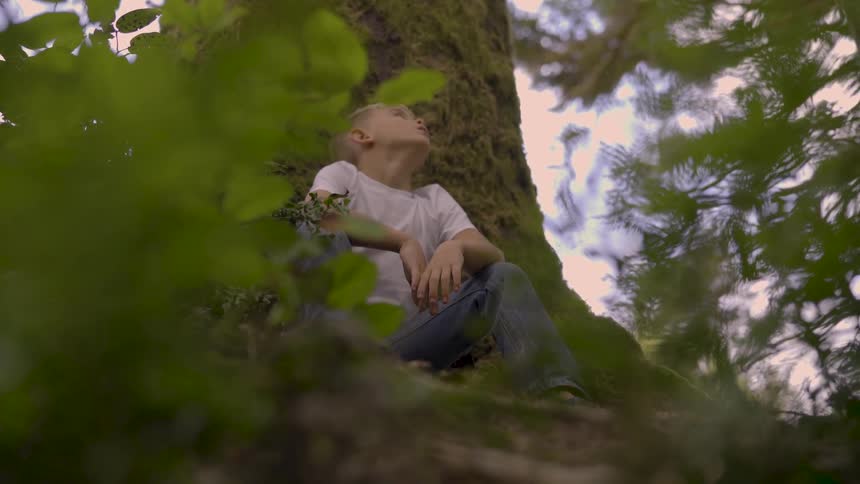 Boy In Forest