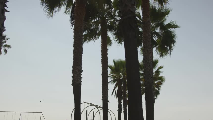 La Beach Day