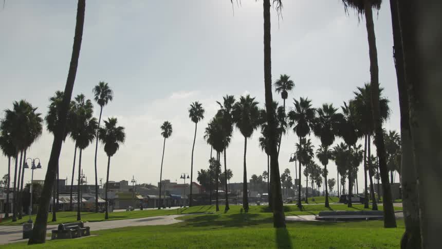 La Beach Day