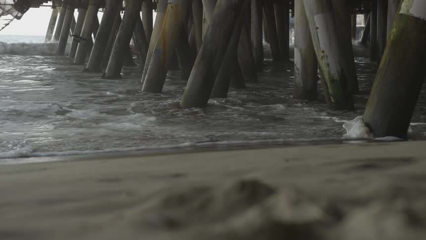La Beach Day