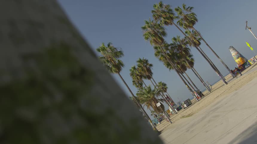 La Beach Day