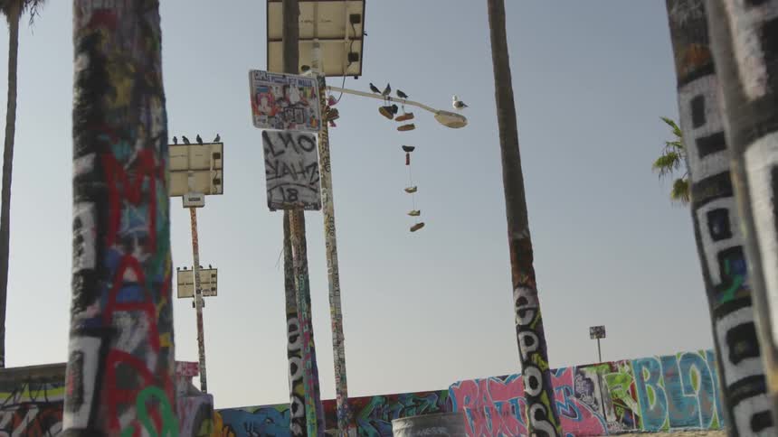 La Beach Day