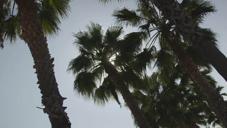 La Beach Day