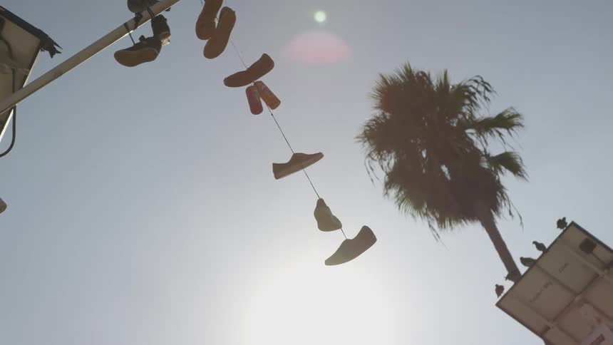 La Beach Day
