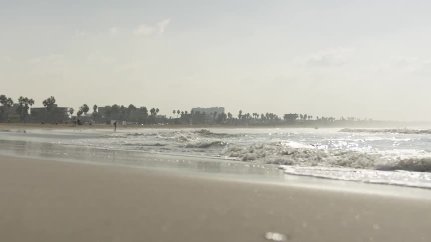 La Beach Day