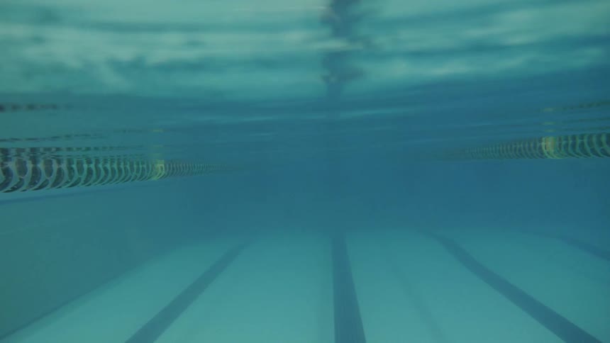 Lap Pool