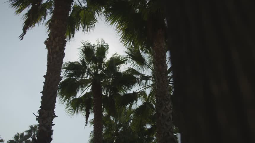 La Beach Day