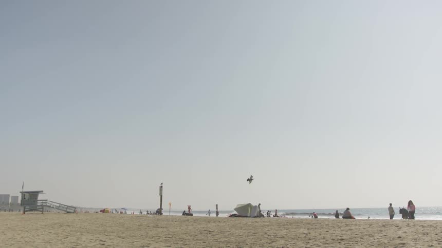 La Beach Day