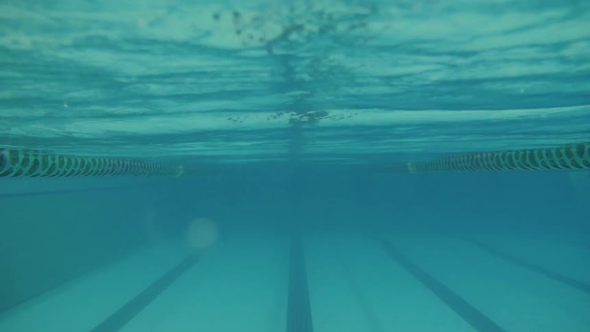 Lap Pool