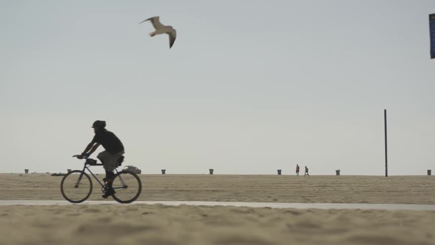 La Beach Day