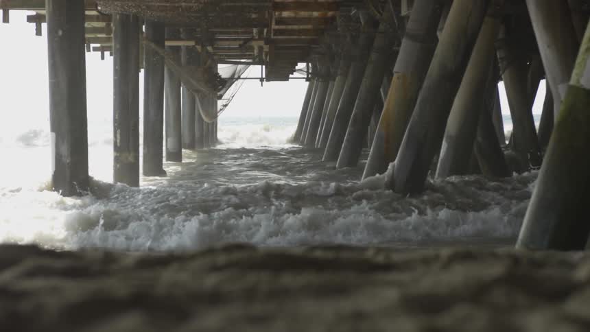 La Beach Day