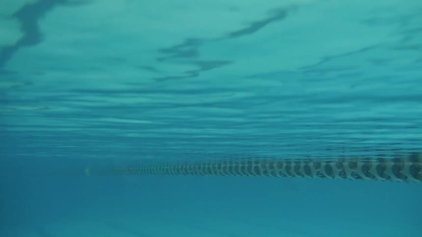 Lap Pool