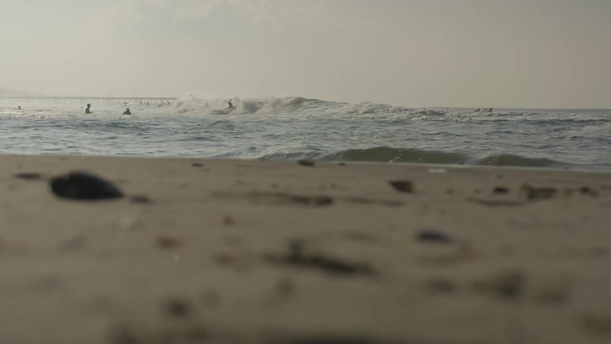 La Beach Day