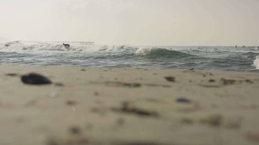 La Beach Day