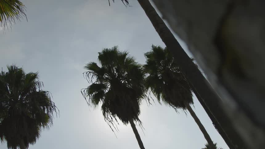 La Beach Day