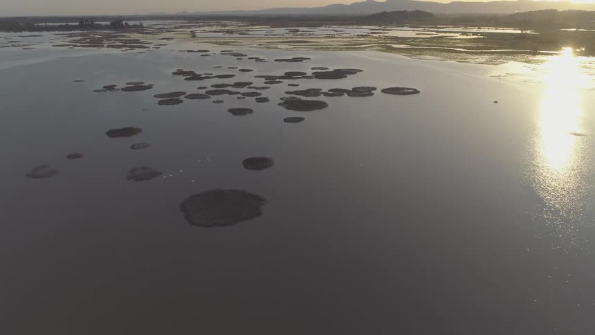 Lake Aerials