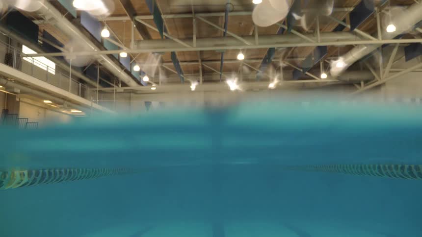 Lap Pool