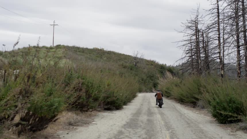 Man rides his motorcycle on a winding road at a high speed
