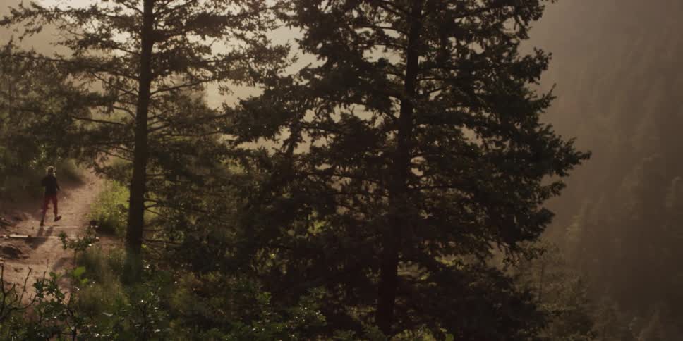 A person jogging down a trail