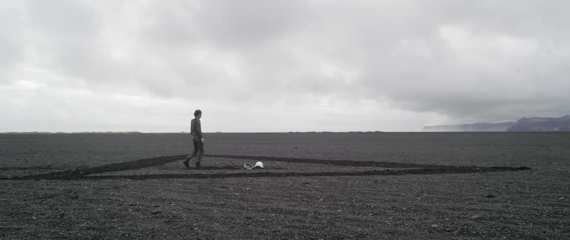 Pilot Surviving After Flight Crash