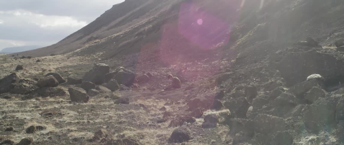 Pilot Surviving After Flight Crash
