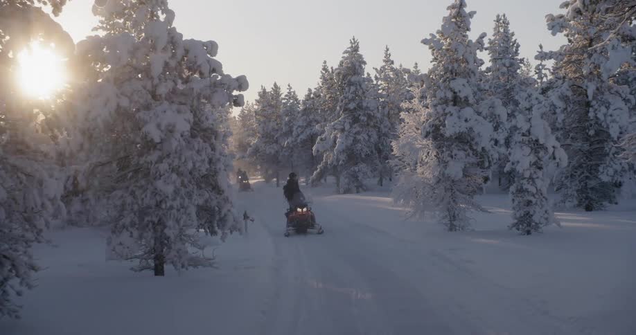 Riding Snowmobiles Through Forest