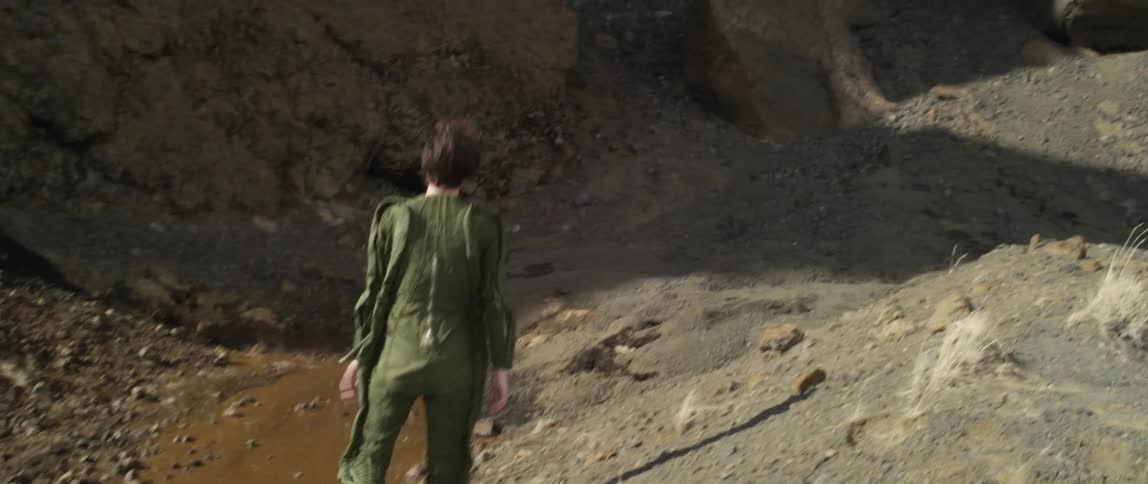 Pilot Surviving After Flight Crash