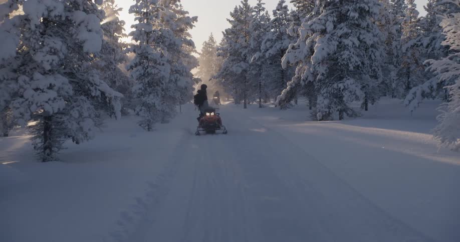 Riding Snowmobiles Through Forest