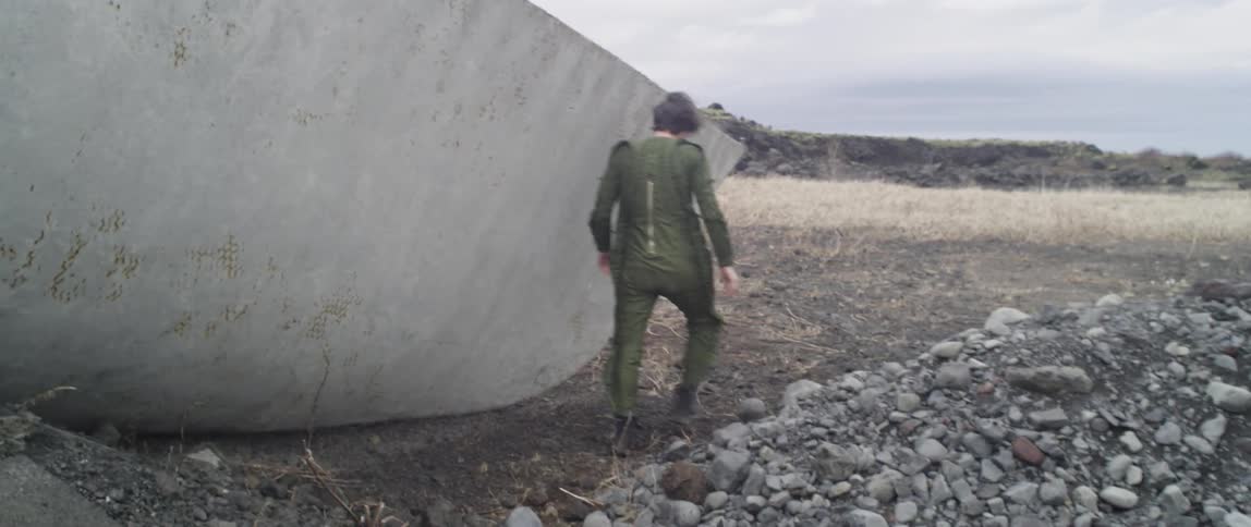 Pilot Surviving After Flight Crash