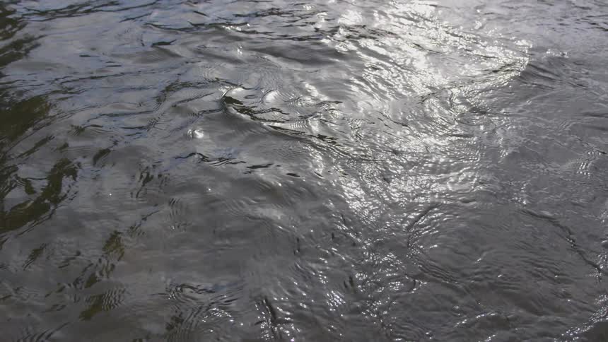 Waves on a lake or river