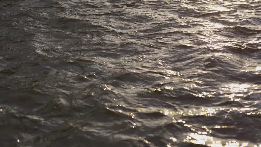 Sunlight shines on rolling ocean waves