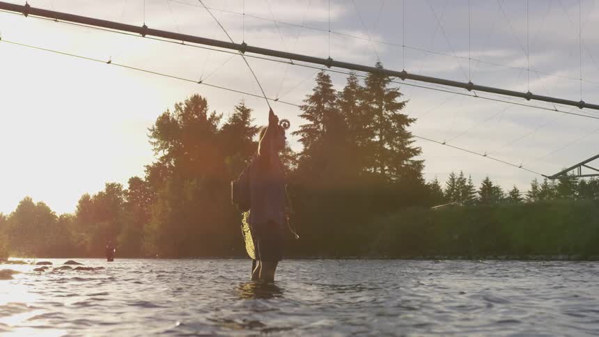 Man fly fishing while standing in a tree lined river
