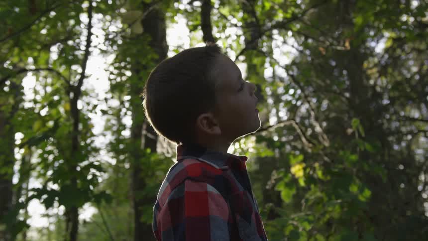 A boy is outside looking at the forest