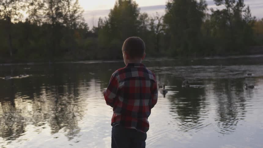 A young boy wearing a flannel shirt is standing next to the rippling water watching the ducks swim by