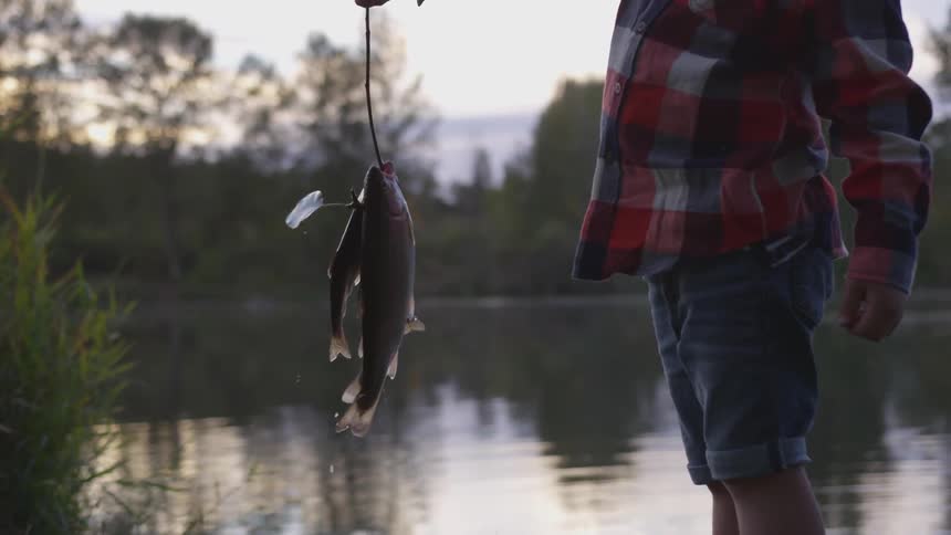 Man holds up three fish on a fishing line