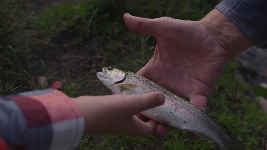 A man hands a live fish to his son