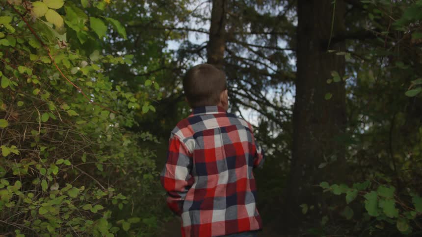 A boy wanders through a narrow path on the woods