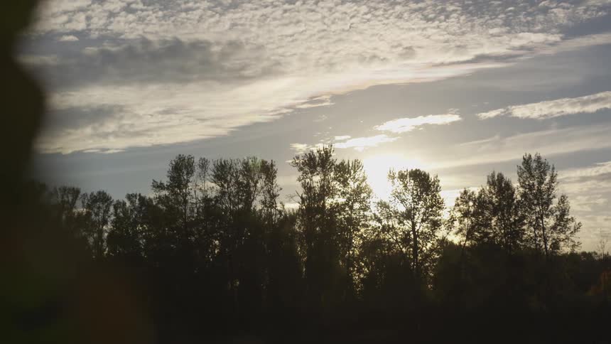 As the sun sits low in the sky its light is seen through some tall trees in a forest beneath a beautiful cloud streaked sky