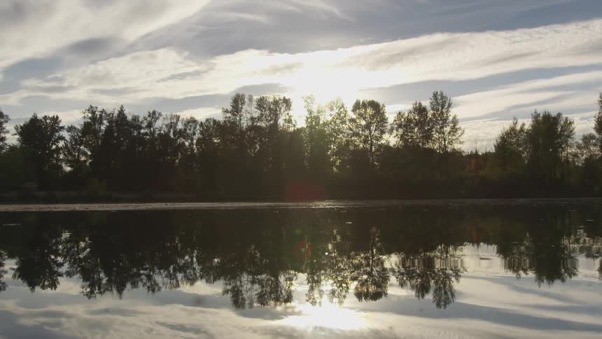 Sunlight shining through trees and reflecting on a lake